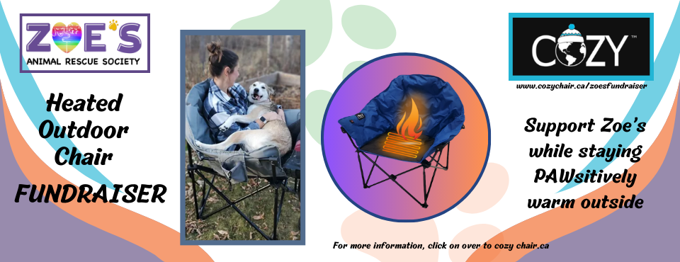 https://www.zoesanimalrescue.org/wp-content/uploads/2023/11/Cozy-Chair-fundraiser.png
