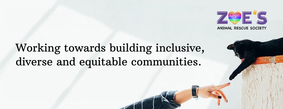 Inclusive Diverse Equitable Communities